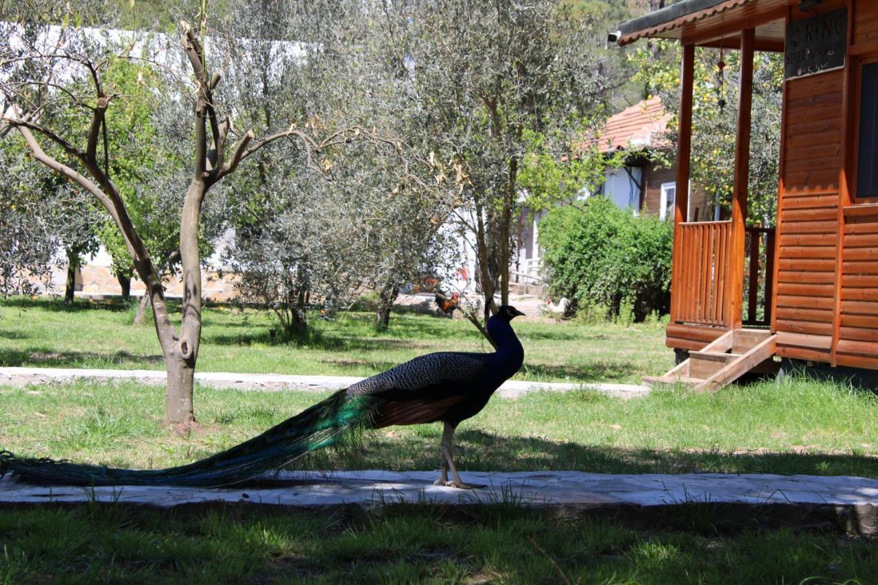 Seker Bungalov Leilighet Çıralı Eksteriør bilde