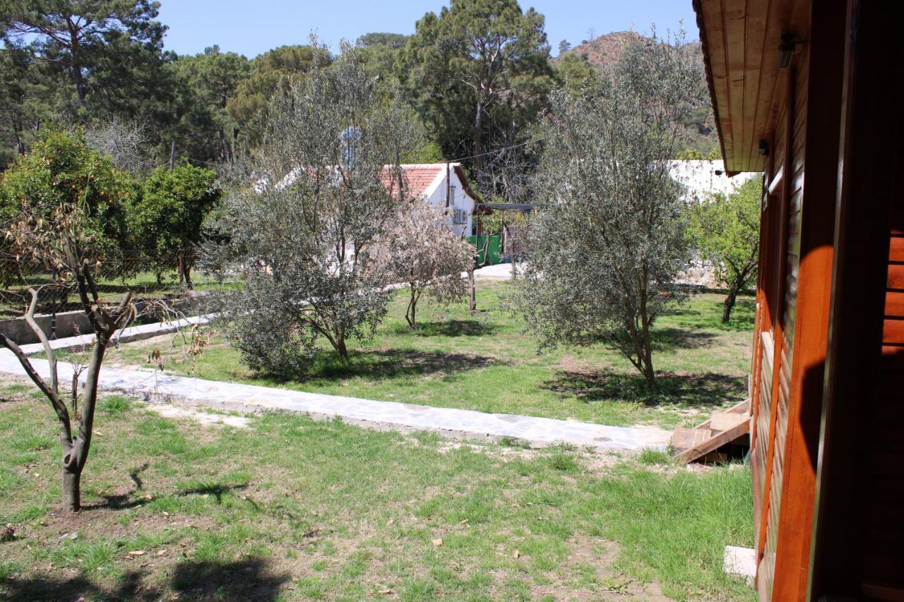 Seker Bungalov Leilighet Çıralı Eksteriør bilde