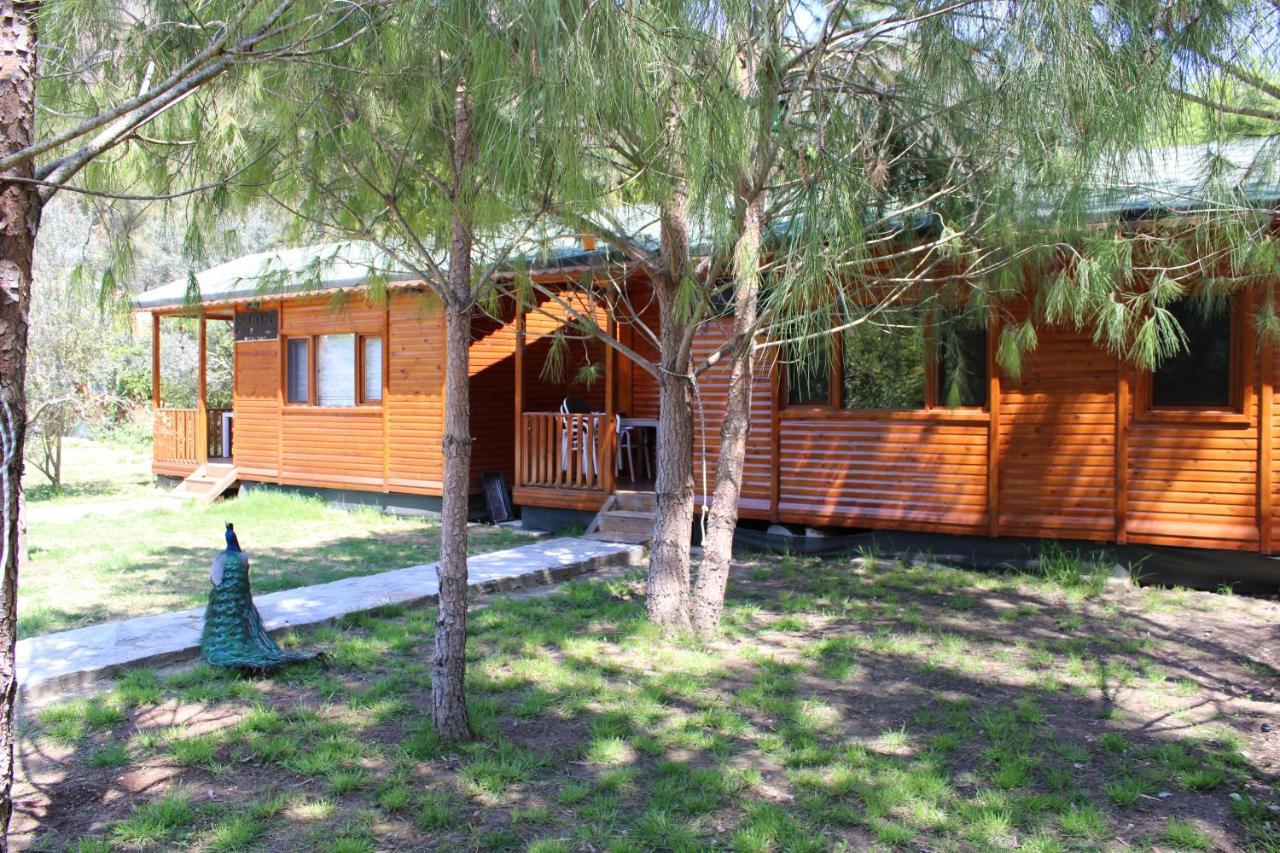 Seker Bungalov Leilighet Çıralı Eksteriør bilde