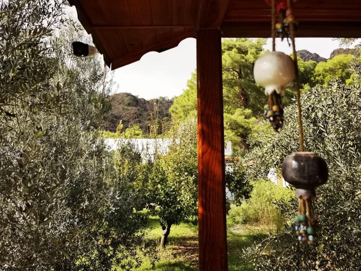 Seker Bungalov Leilighet Çıralı Eksteriør bilde